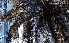 Casa con Palmera - Port